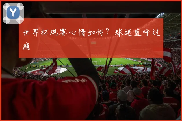 世界杯观赛心情如何？球迷直呼过瘾