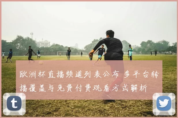 欧洲杯直播频道列表公布 多平台转播覆盖与免费付费观看方式解析