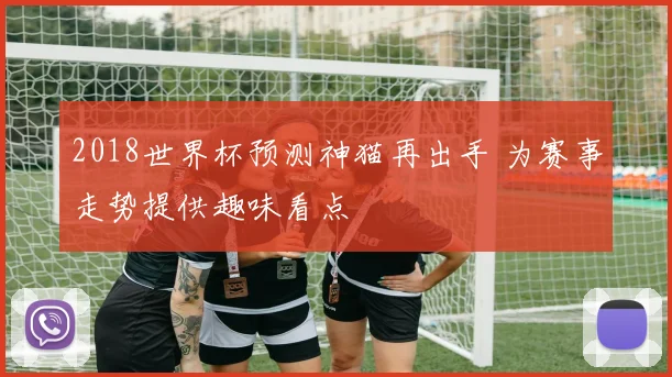 2018世界杯预测神猫再出手 为赛事走势提供趣味看点