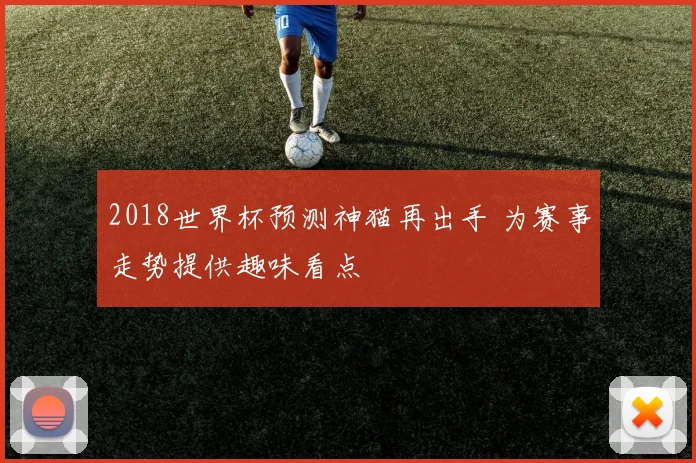 2018世界杯预测神猫再出手 为赛事走势提供趣味看点