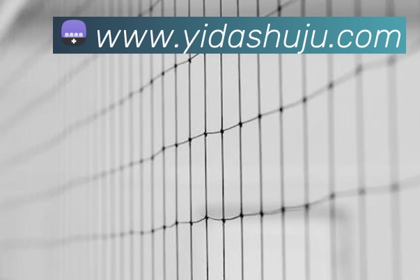 多媒体互动体验